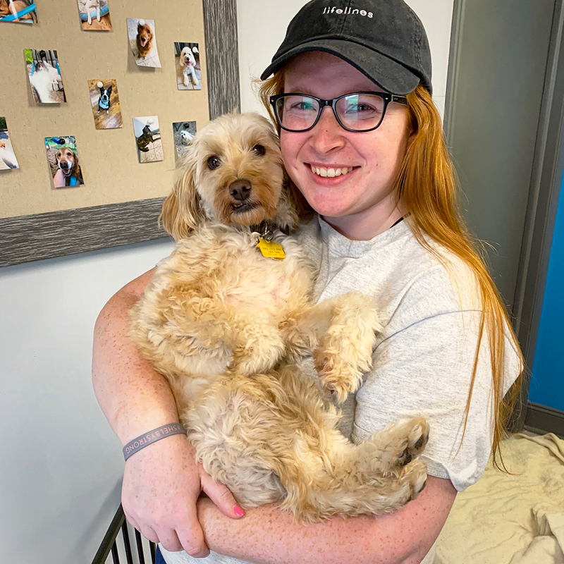 Miss Drew | Miss Drew's Doggy Daycare